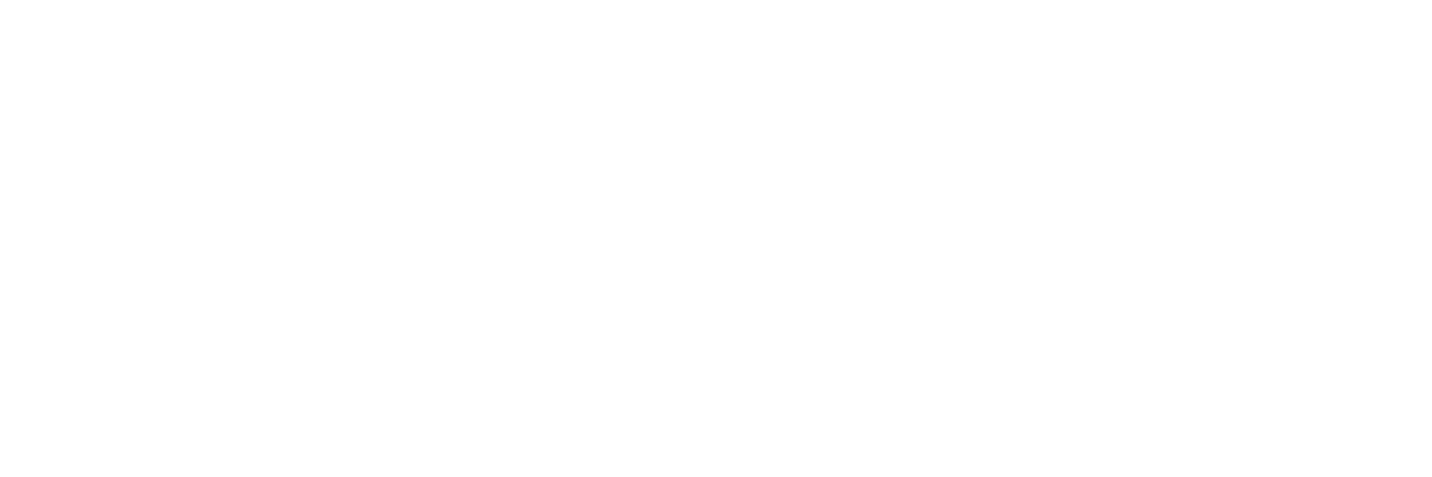 S4T Logo